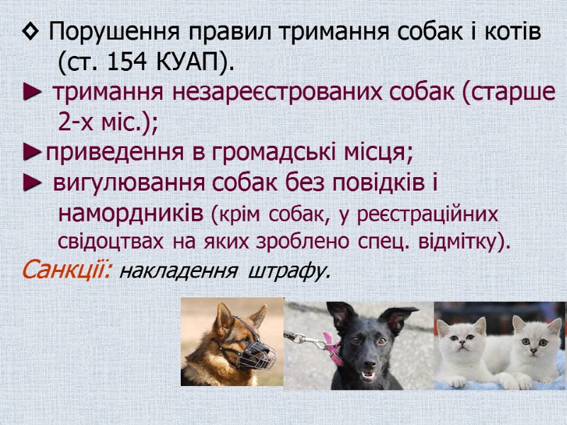 ◊ Порушення правил тримання собак і котів (ст. 154 КУАП).  ► тримання незареєстрованих
